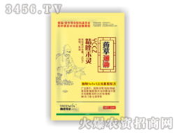 春成伟业 携手共拓中药材田除草新蓝海——伟业通招商启航